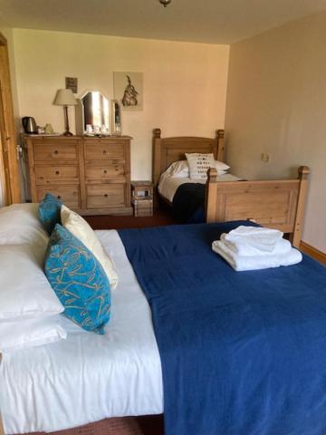 The George Inn & Millingbrook Lodge Ltd Lydney Eksteriør bilde